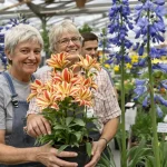 « Créer une nouvelle variété nous demande cinq à sept ans » : la passion d’une famille aux Fleurs de mai